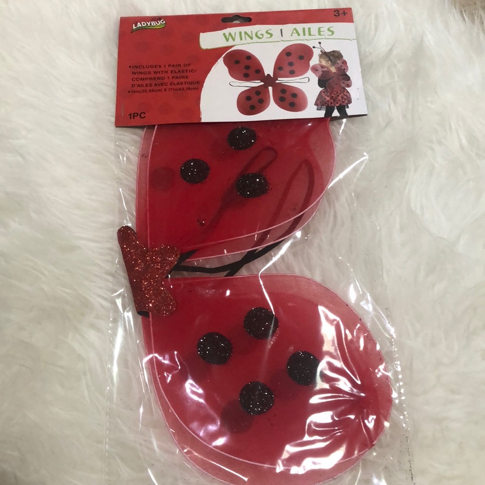Ladybug wings